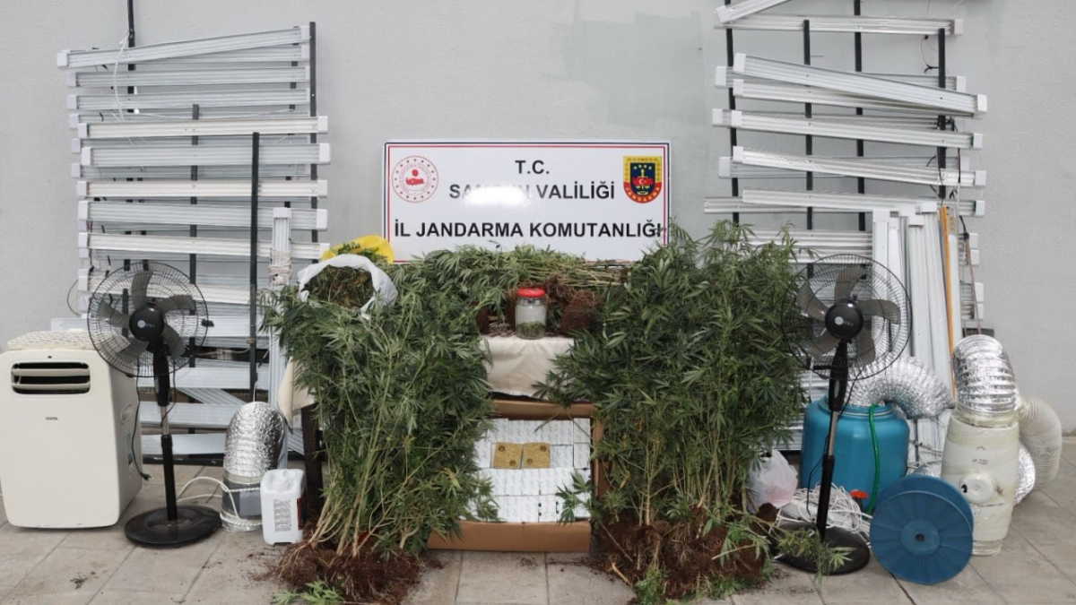 Samsun’da internette izlediği videolarla evini uyuşturucu serasına çevirdi