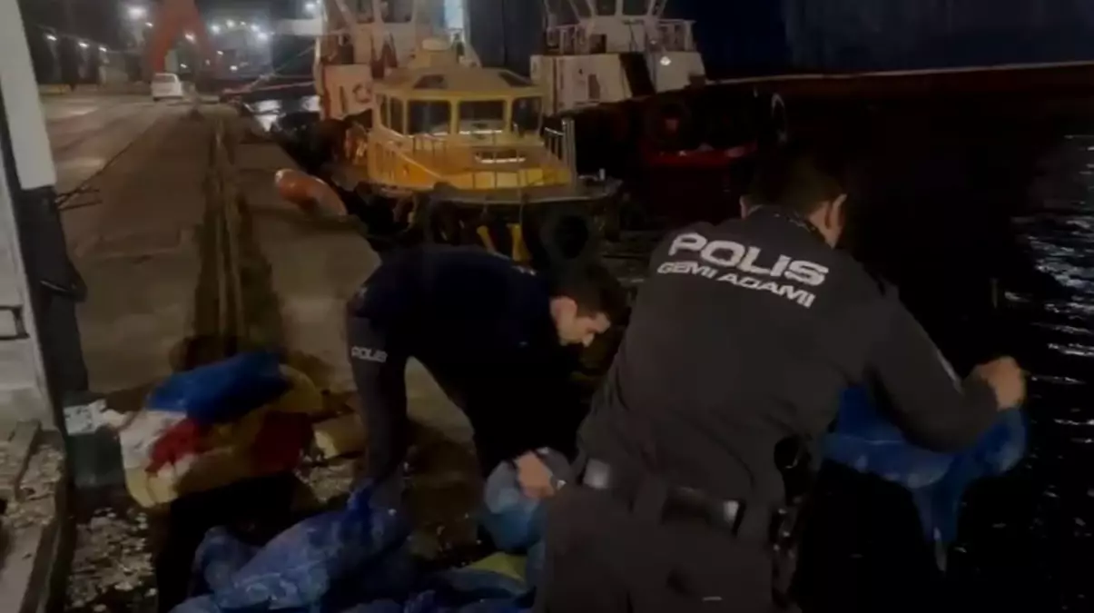 Samsun’da Kaçak Midye Operasyonu