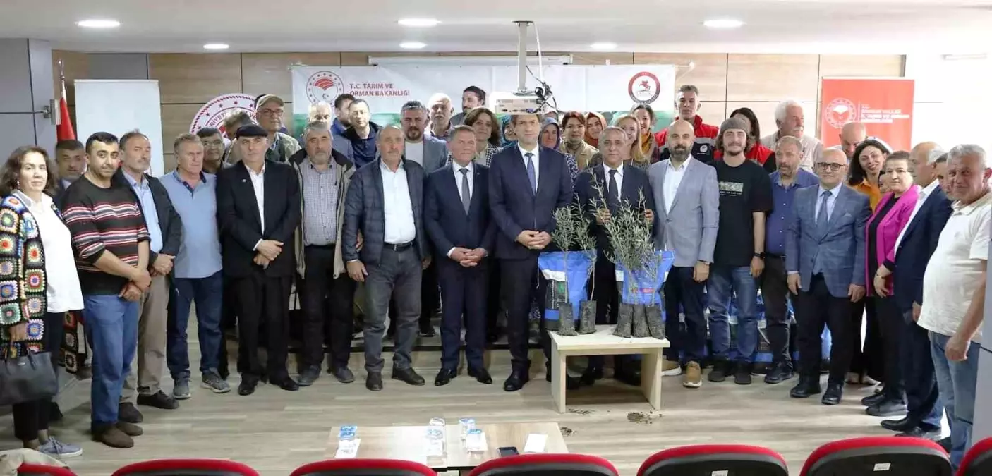 Samsun’da Sorgum Tohumları Dağıtıldı