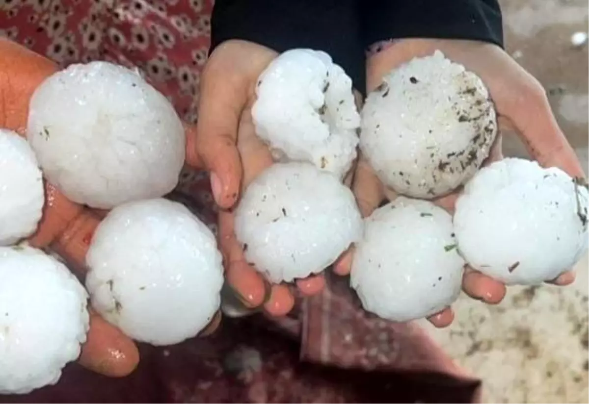 Şanlıurfa’da Dolu Zarar Tespiti