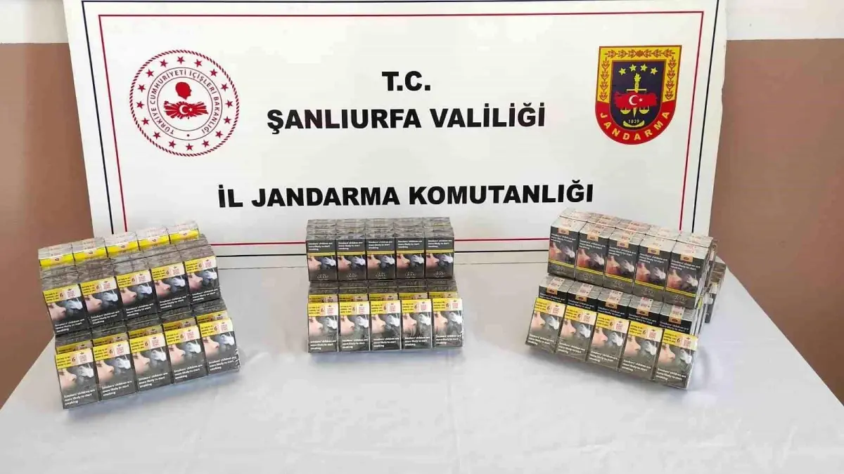 Şanlıurfa’da Gümrük Kaçağı Sigara Operasyonu