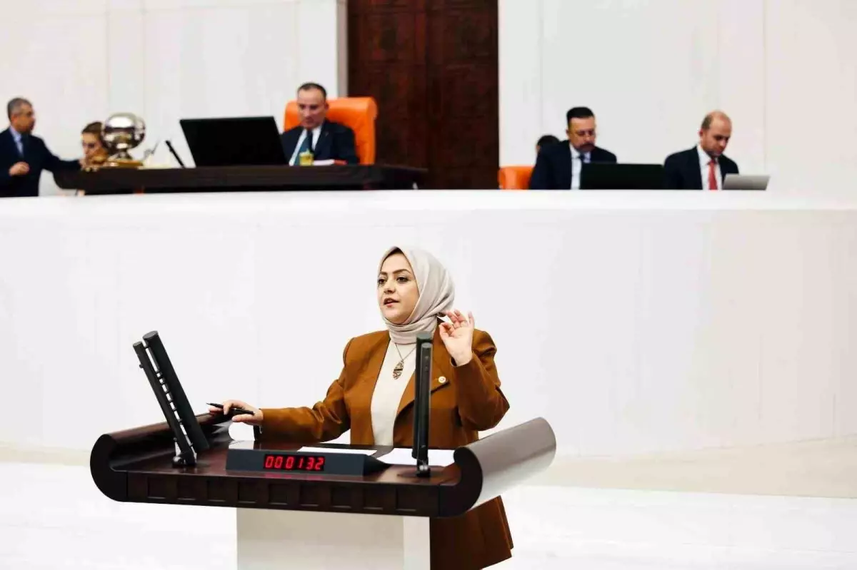 Sema Silkin Ün: Bütçe Açığı İstihdam Sorunu
