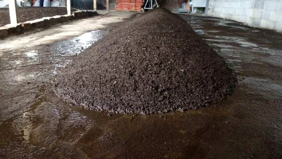 Sıvı Solucan Gübreleriyle Verim Artışı