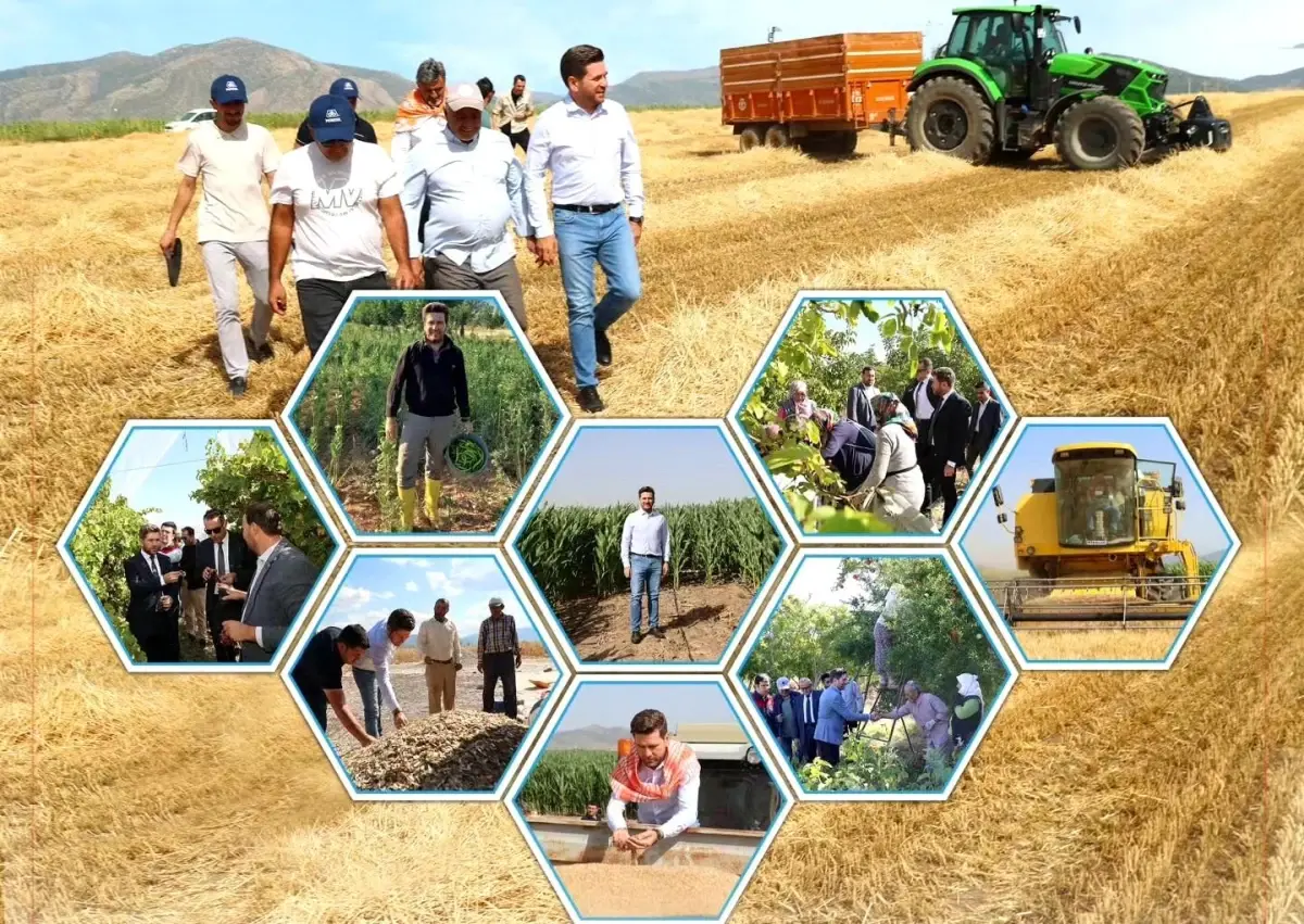 Tavas Belediye Başkanı Tatık’tan Dünya Çiftçiler Günü Kutlaması