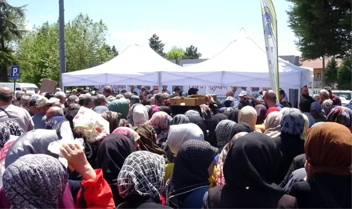Tavşanlı’da Ücretsiz Fide Dağıtımında İzdiham