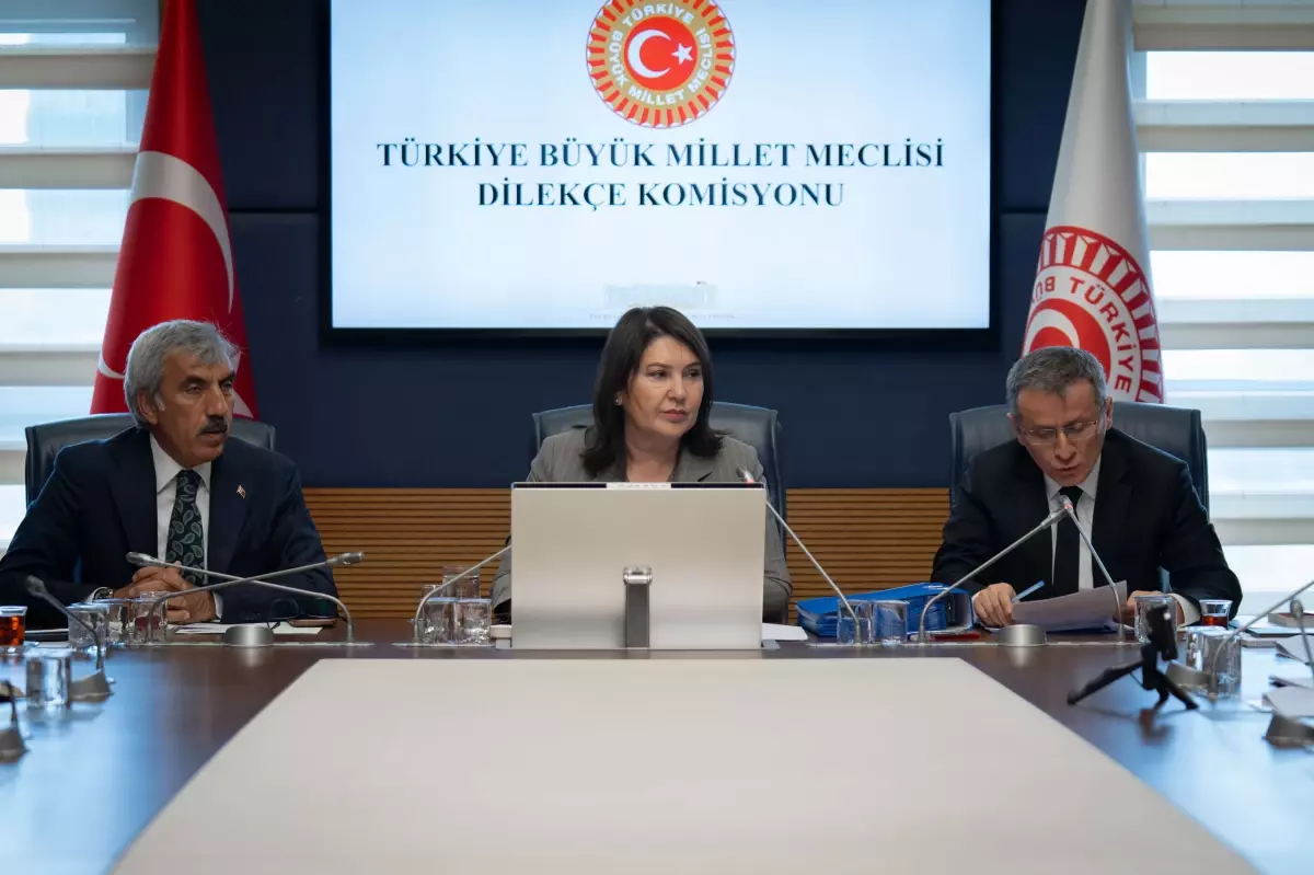TBMM Dilekçe Komisyonu’na 18 bin 949 başvuru yapıldı