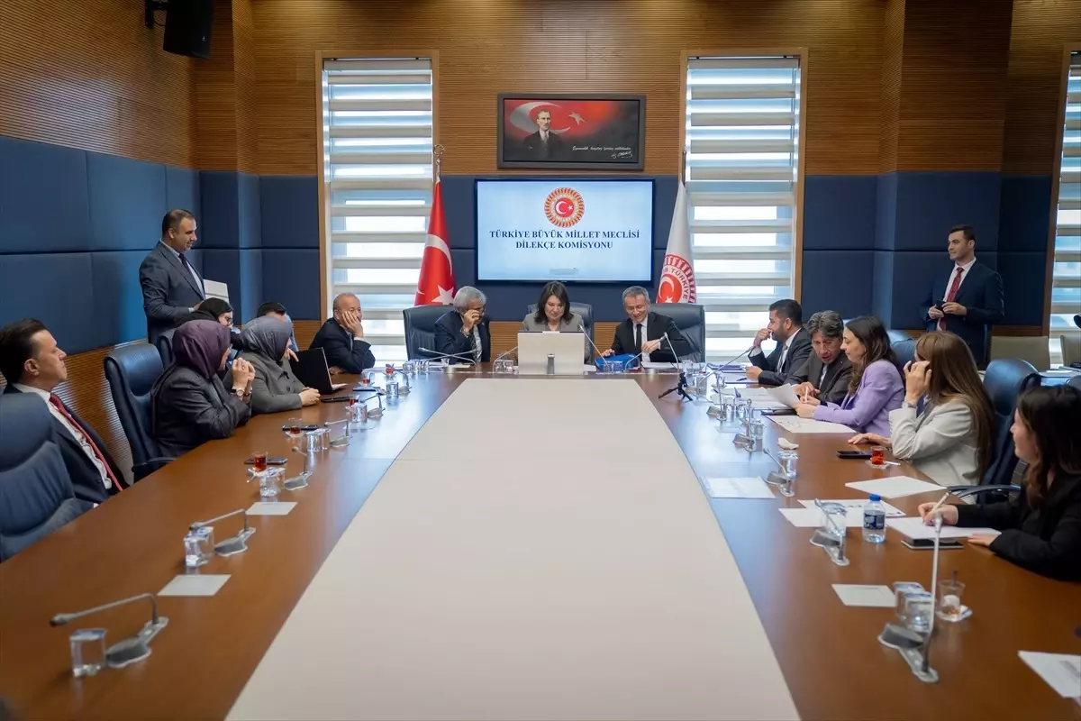 TBMM Dilekçe Komisyonuna 2 yılda yaklaşık 19 bin başvuru yapıldı