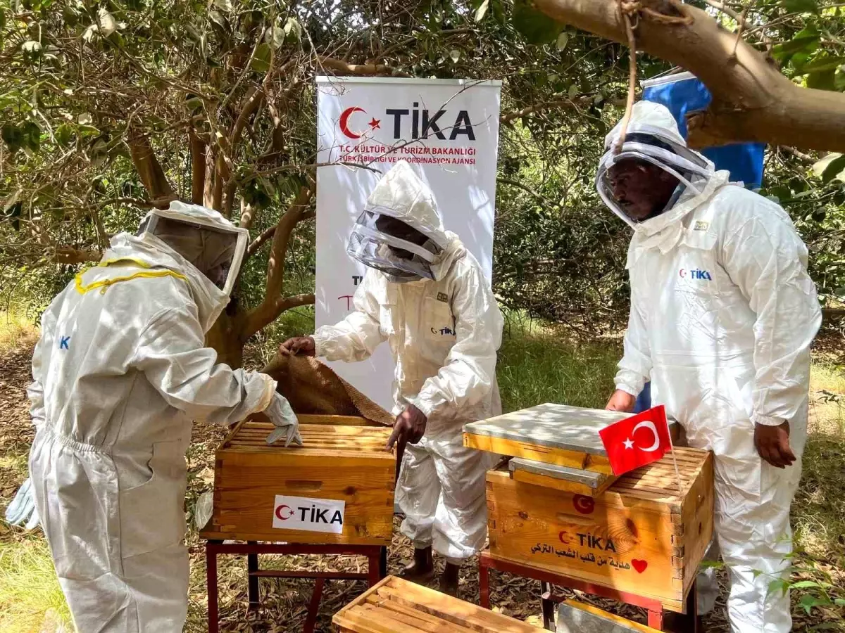 TİKA, Sudan’da Arıcılığa Destek Verdi
