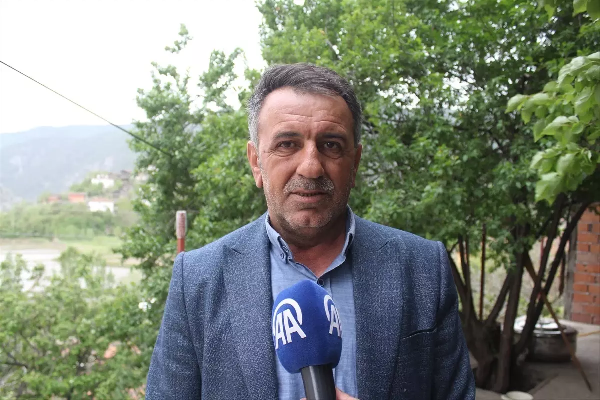 Tosya’da Çeltik Ekim Mevsimi Başladı