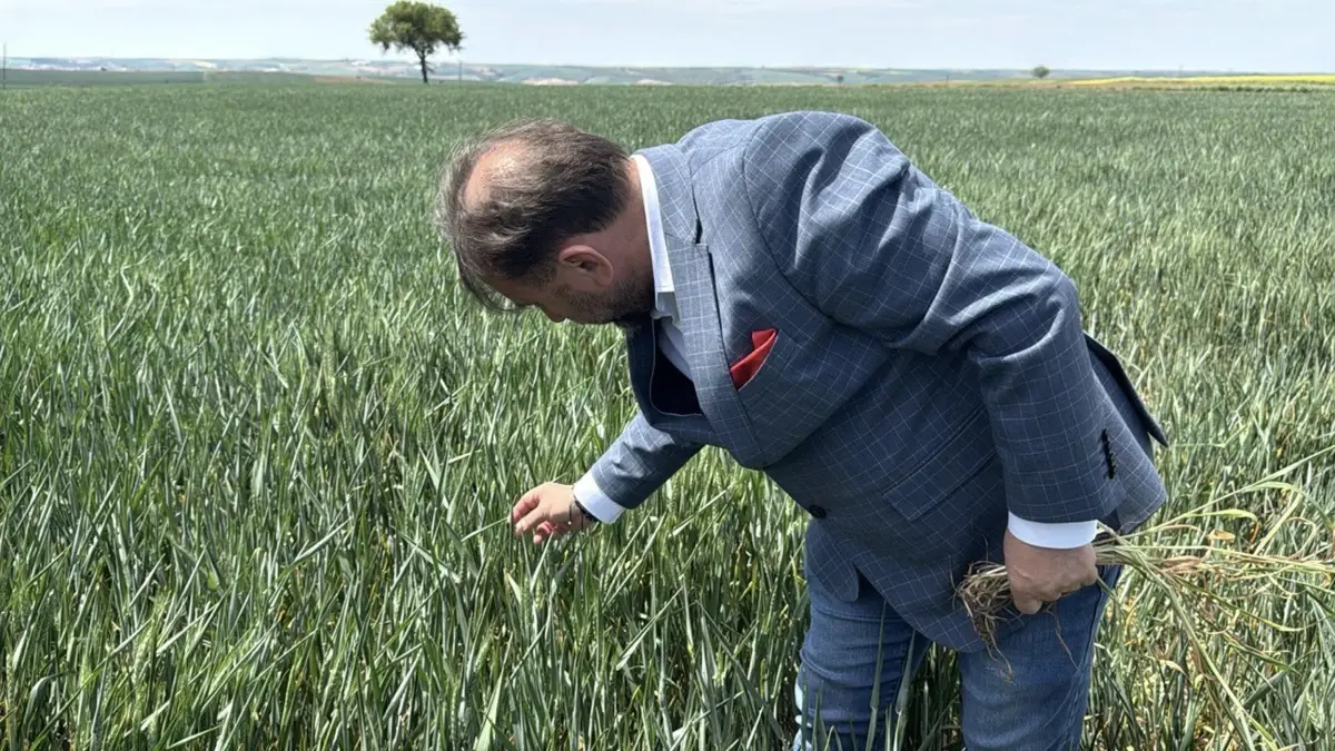 Trakya’da Kuraklık Tehlikesi
