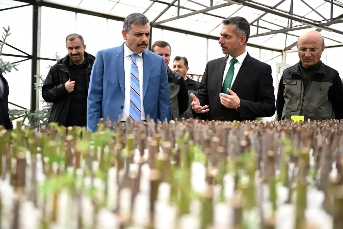 Vali Çiftçi Orman Bölge Müdürlüğü’nü Ziyaret Etti