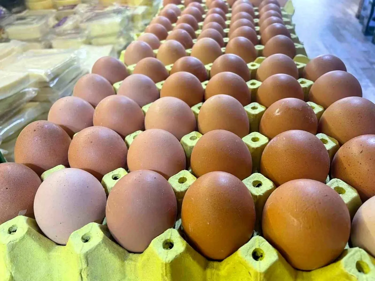 Yumurta Kabuğunun Sanayi Değeri